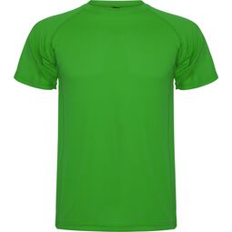 Afbeelding van ROLY Montecarlo Fern Green, S