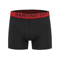 Afbeelding van BOXER