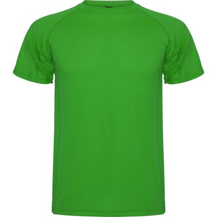 ROLY Montecarlo Fern Green, S