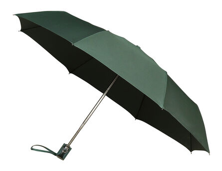 Minimax opvouwbare paraplu auto open + close | Donker Groen